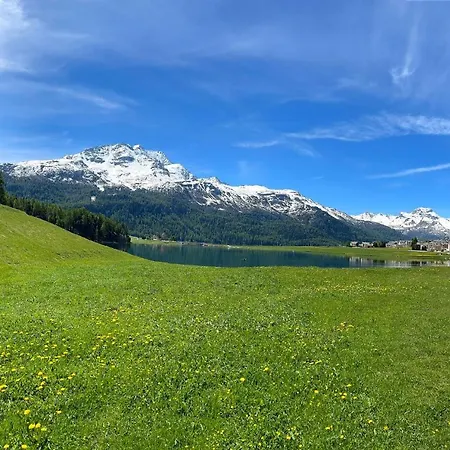 Albana 4*
