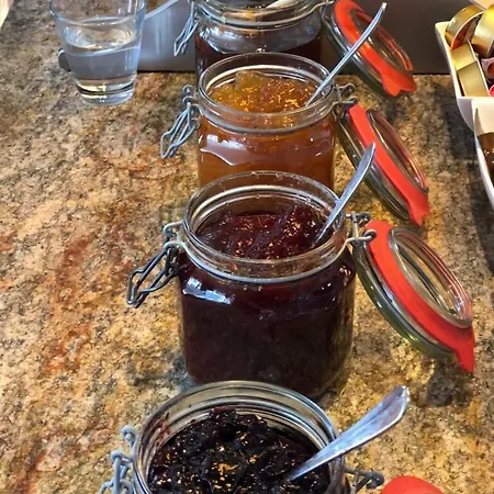 Albana Otel Silvaplana